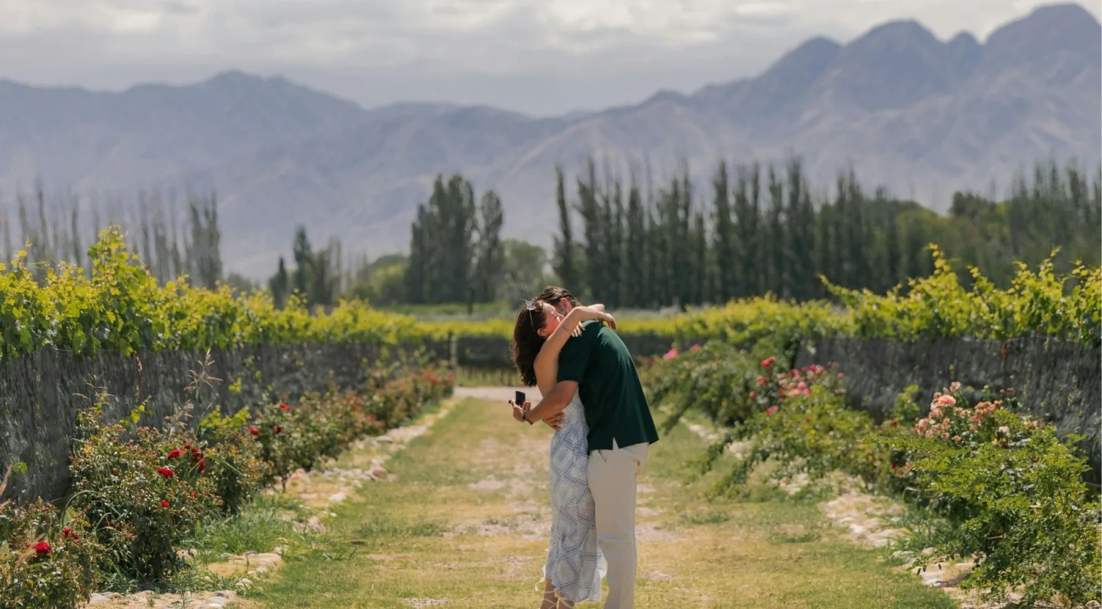A couple embracing on a grass track between vine rows edged with rose bushes, poplars and mountains behind