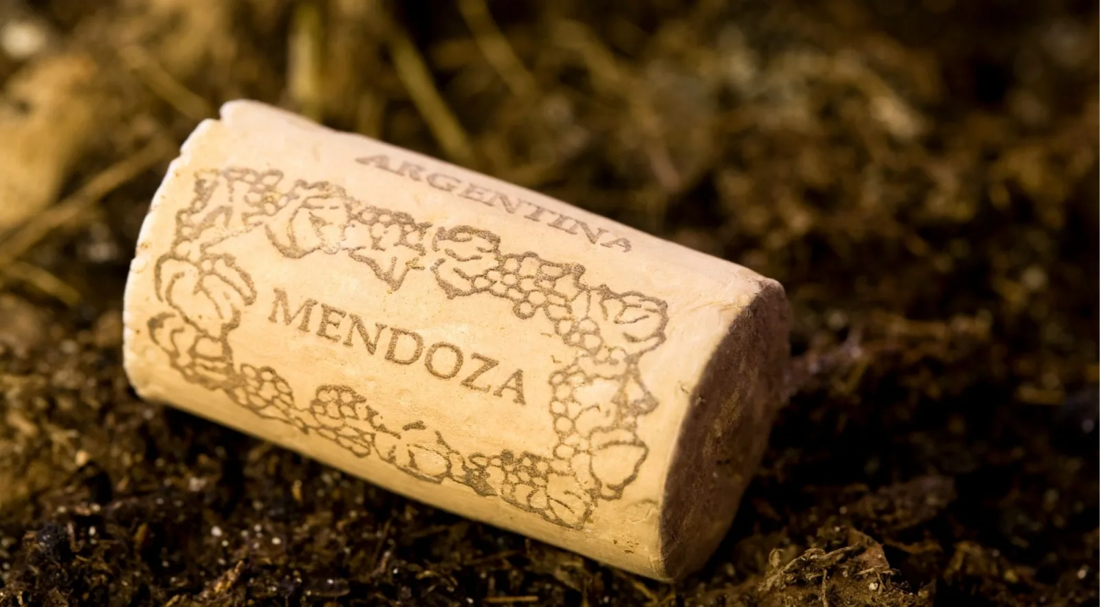 A wine cork branded MENDOZA ARGENTINA with a grape motif, lying on dark soil