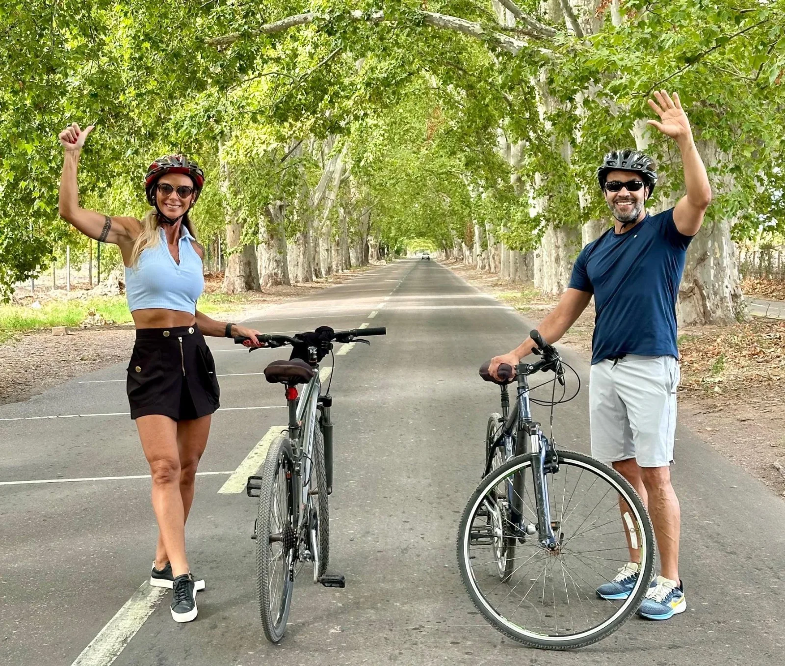 Mendoza: Wine and Bike Tour of Wineries at the Foot of the Andes
