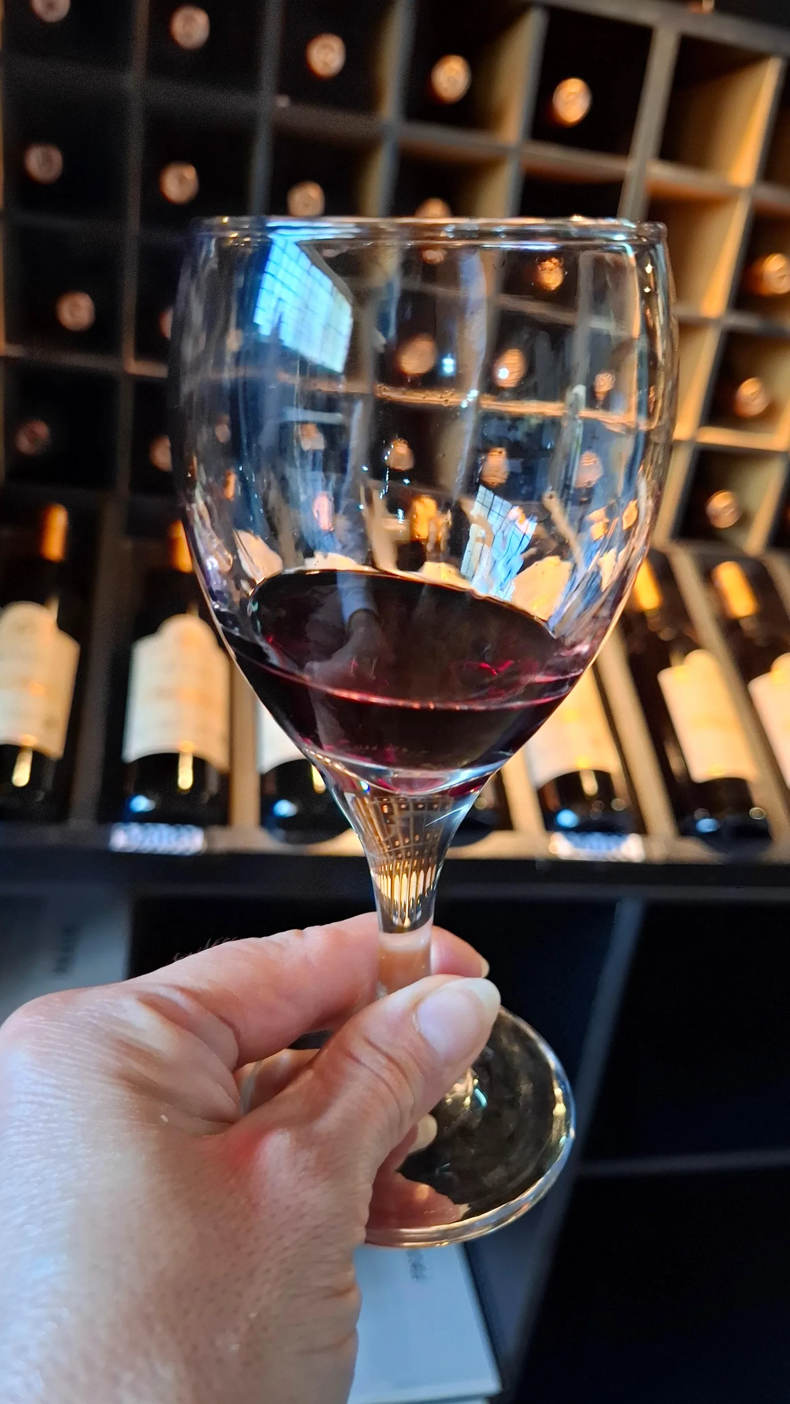 Route 60 Mendoza: Experience at three wineries with food tasting and extra-virgin olive oil