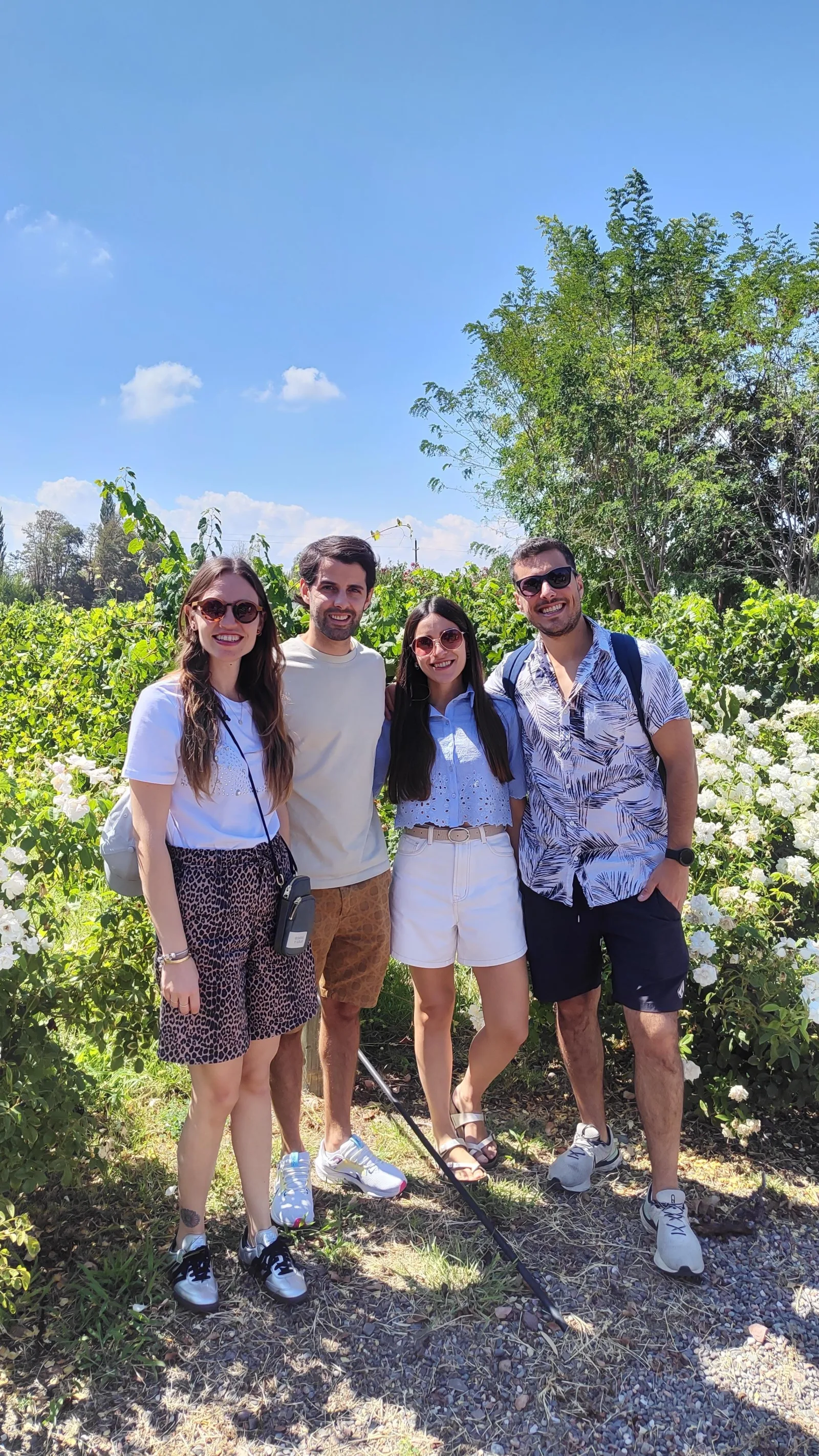 Mendoza's best wineries, wine tastings, and lunch!