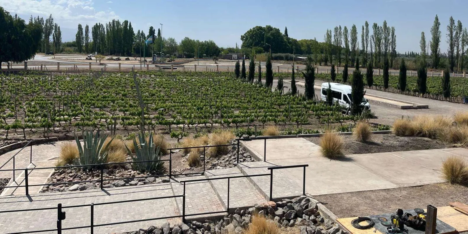 From Mendoza: 3 Wineries, Olive Oil Factory Tour & Tasting — photo 4