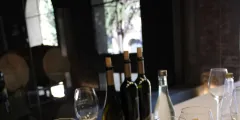 Guest photo from review