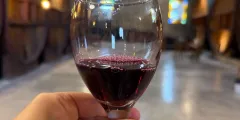 Guest photo from review