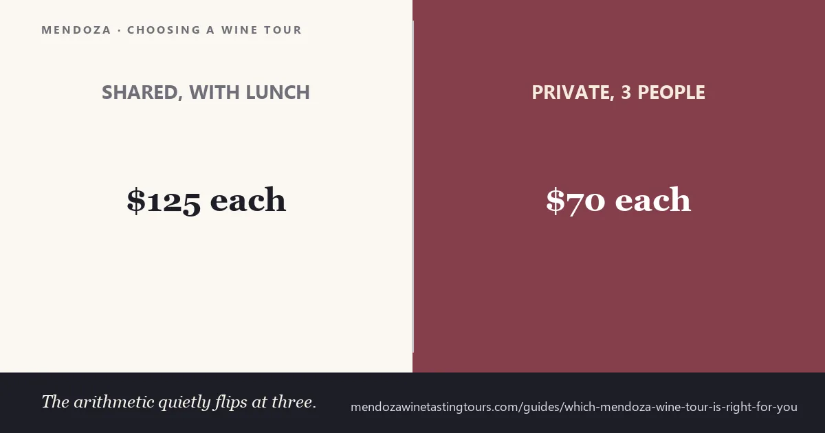 Which Mendoza wine tour is right for you — four questions that sort the catalogue by region, budget, group and lunch